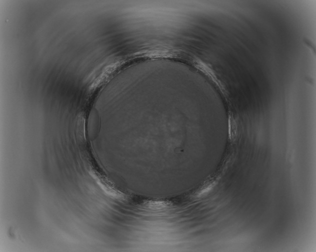 X0000099420205200806061003