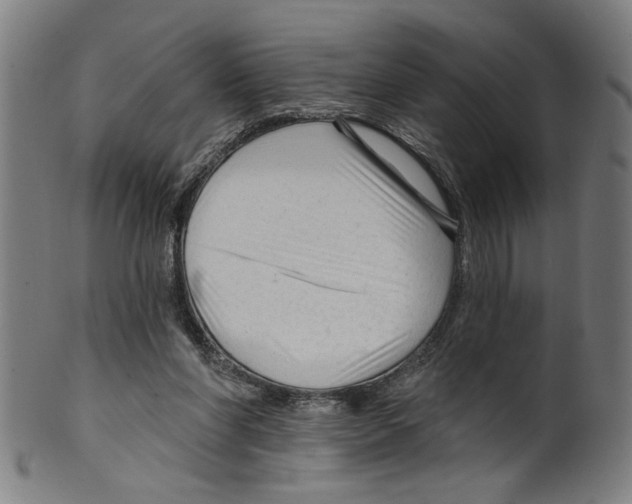 X0000099420206200806061003