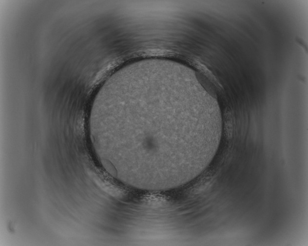 X0000099420207200806061003