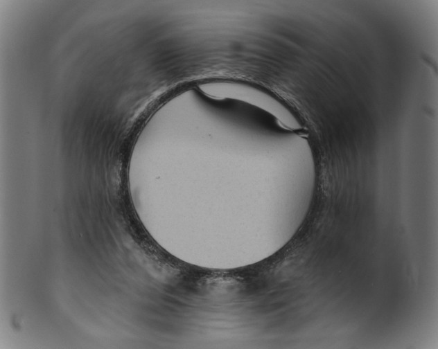 X0000099420208200806061003