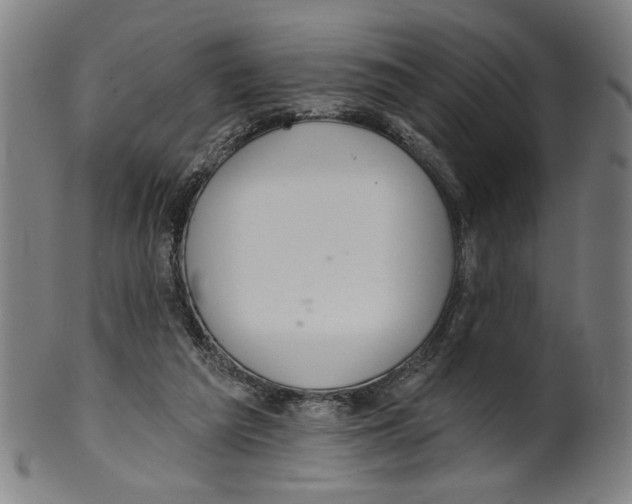 X0000099420209200806061003