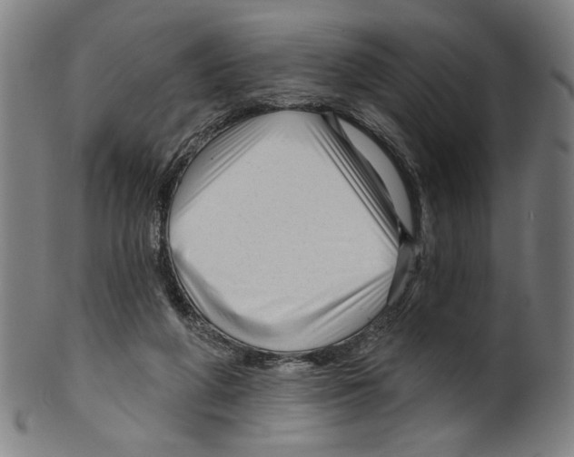 X0000099420210200806061003