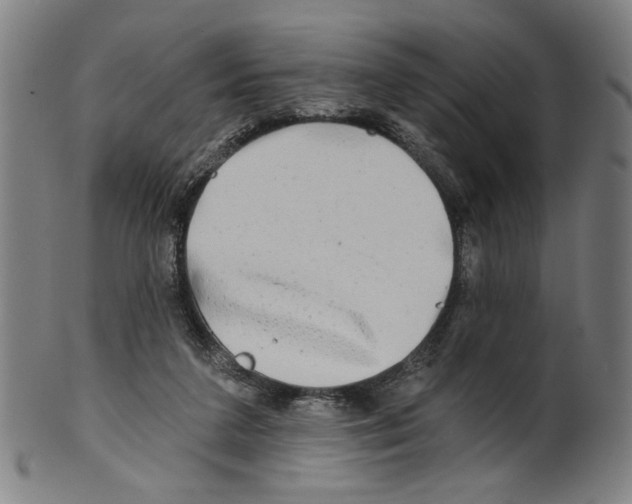 X0000099420211200806061003