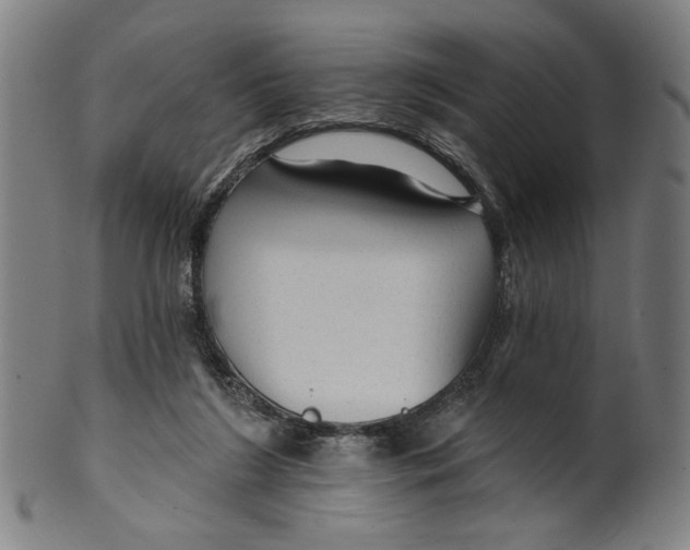 X0000099420212200806061003