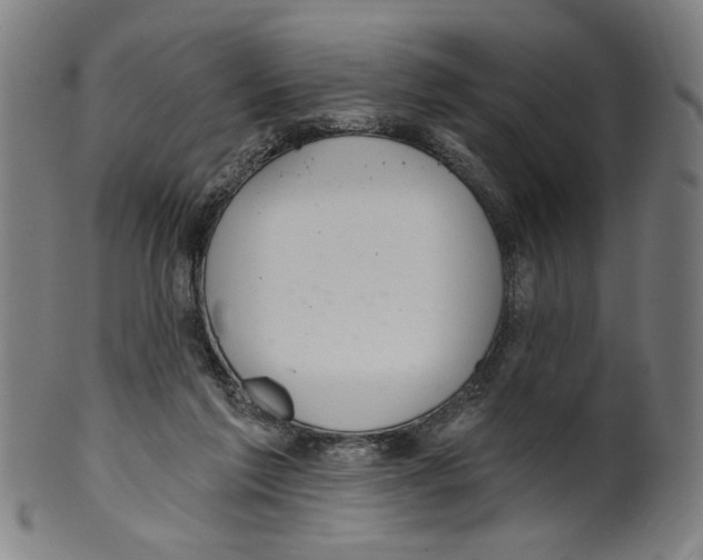 X0000099420213200806061003