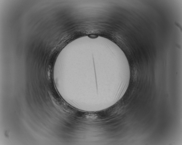 X0000099420214200806061003