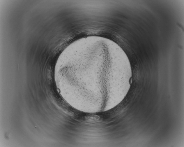 X0000099420215200806061003