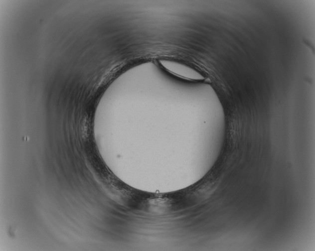 X0000099420216200806061003