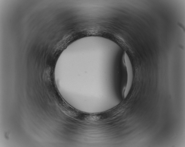 X0000099420217200806061003