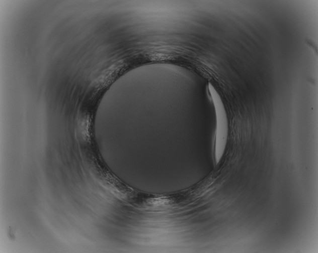 X0000099420219200806061003