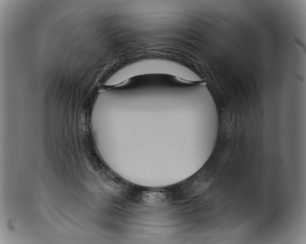 X0000099420220200806061003