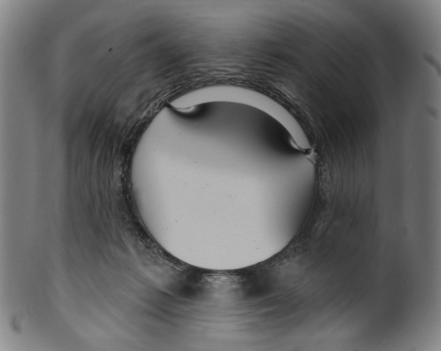 X0000099420221200806061003
