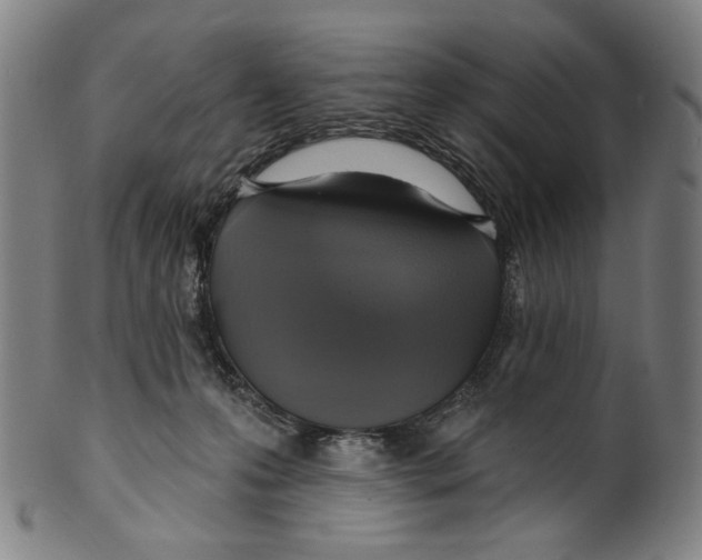 X0000099420223200806061003