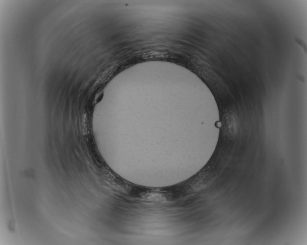 X0000099420224200806061003