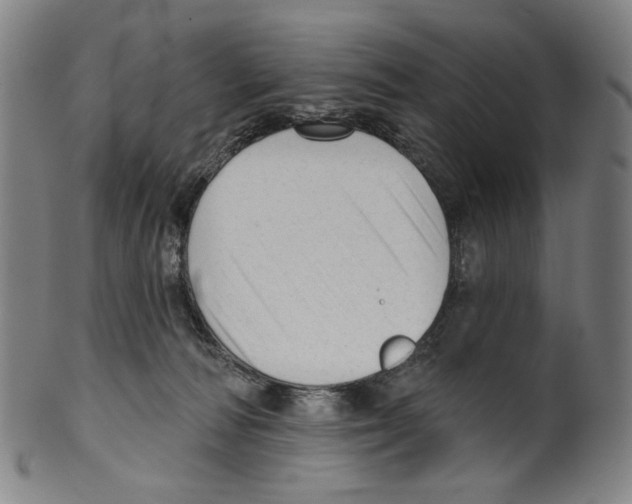 X0000099420226200806061003