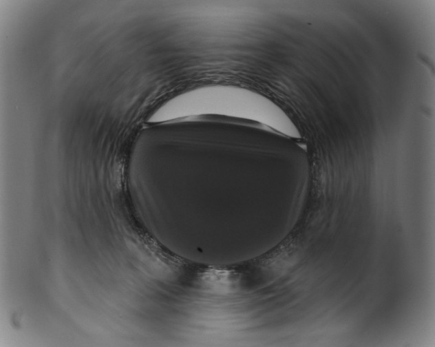 X0000099420227200806061003