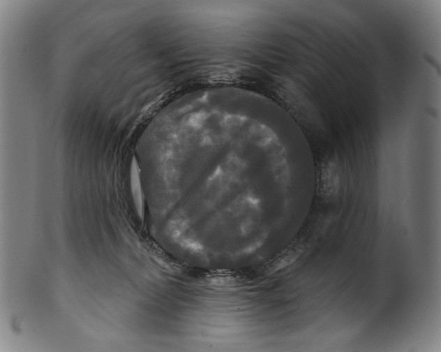 X0000099420228200806061003