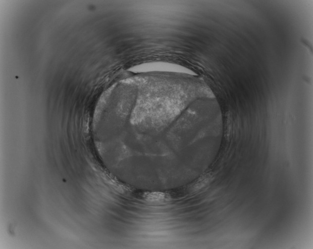 X0000099420230200806061003