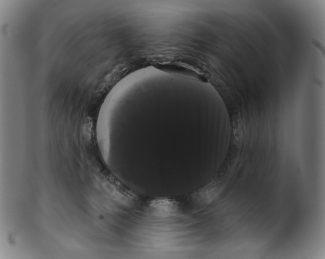 X0000099420231200806061003
