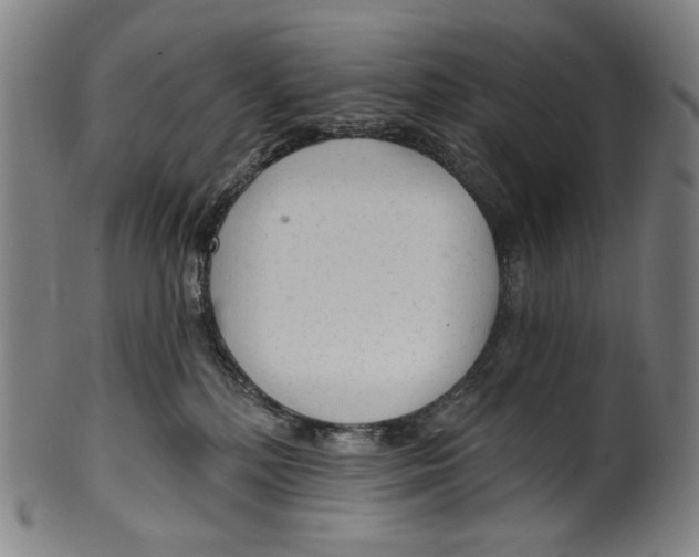 X0000099420232200806061003