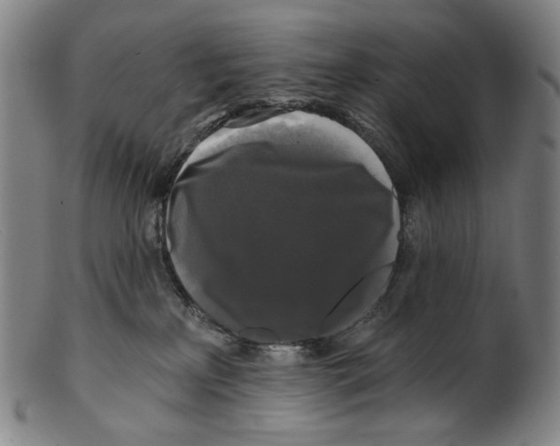 X0000099420233200806061002