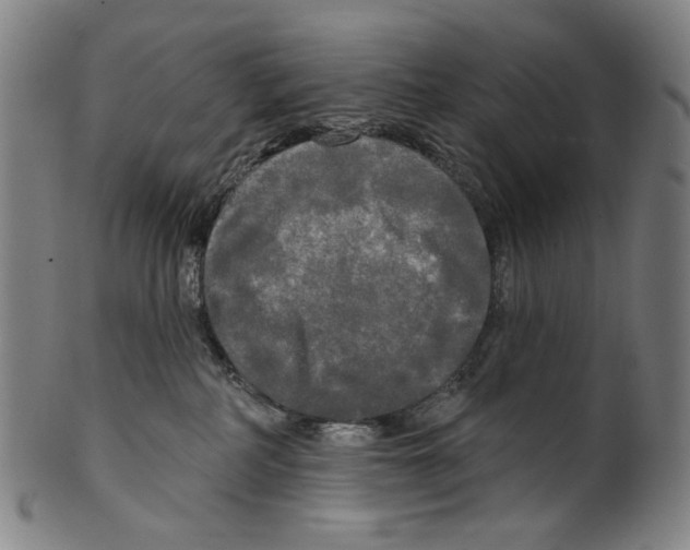 X0000099420234200806061002
