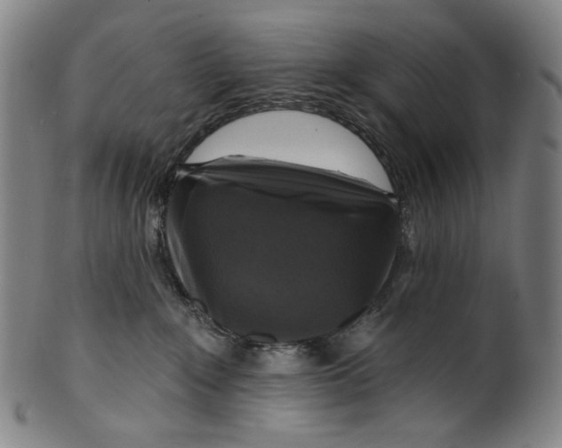 X0000099420235200806061002