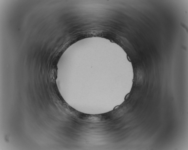 X0000099420236200806061002
