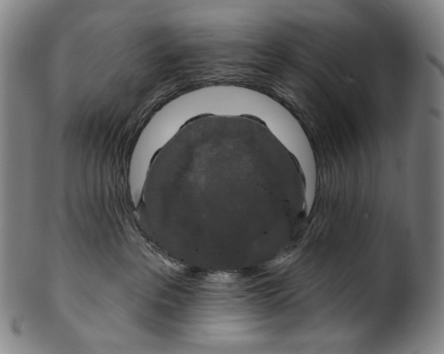 X0000099420237200806061002