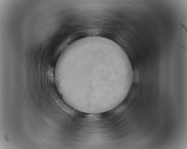 X0000099420238200806061002