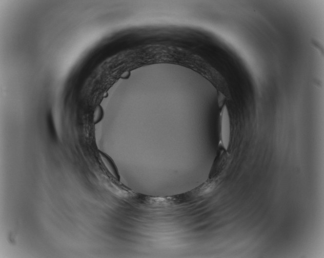 X0000099420239200806061002