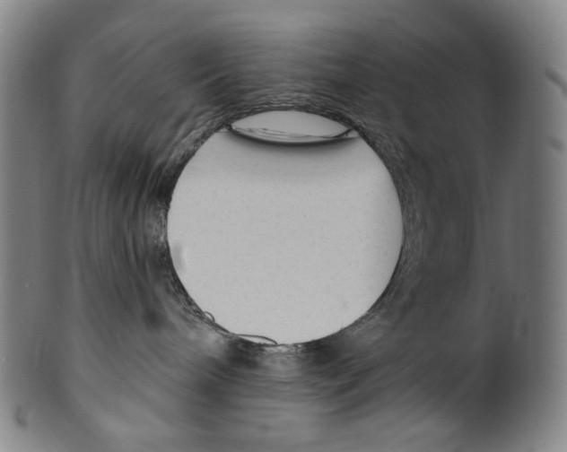 X0000099420240200806061002