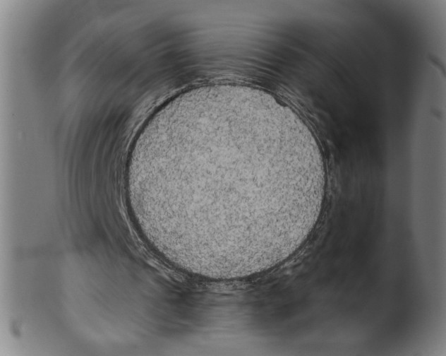 X0000099420241200806061002