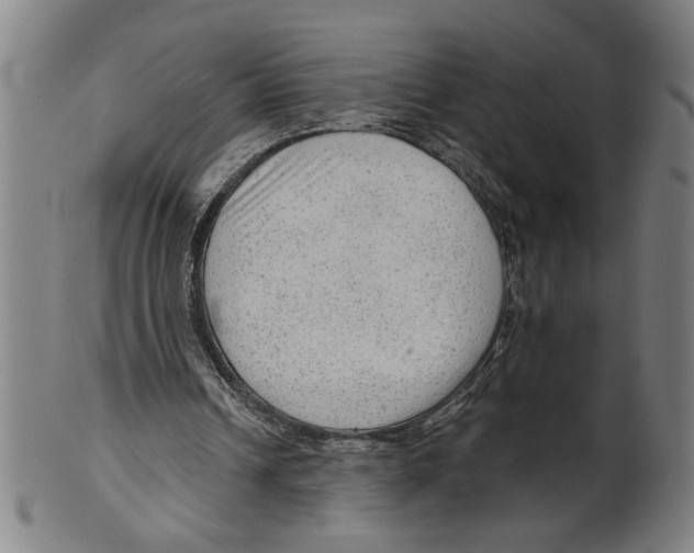 X0000099420242200806061002