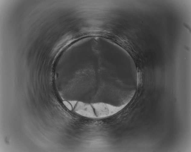 X0000099420243200806061002