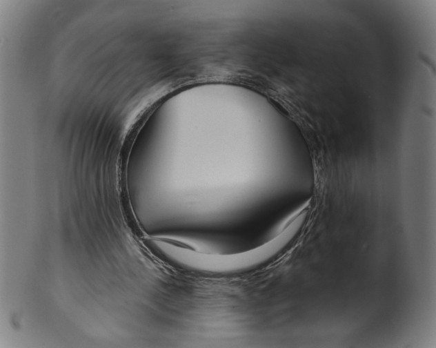X0000099420244200806061002