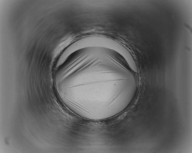 X0000099420245200806061002