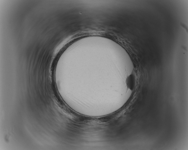 X0000099420246200806061002
