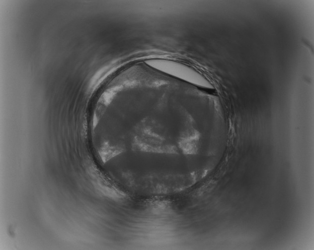 X0000099420247200806061002