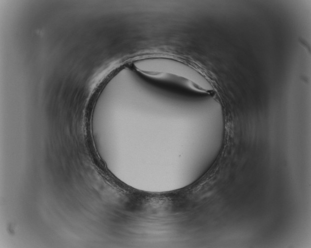 X0000099420248200806061002