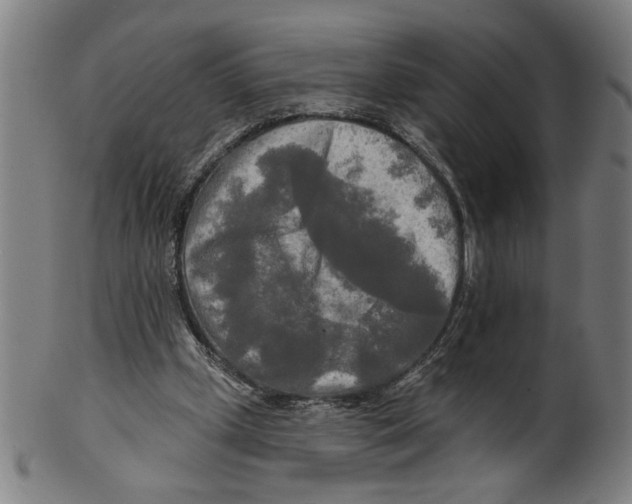 X0000099420249200806061002