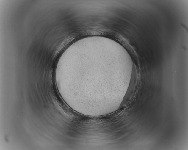 X0000099420250200806061002