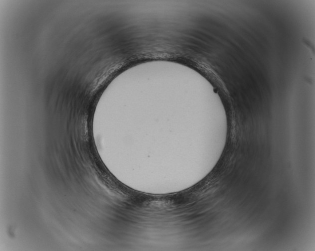 X0000099420251200806061002