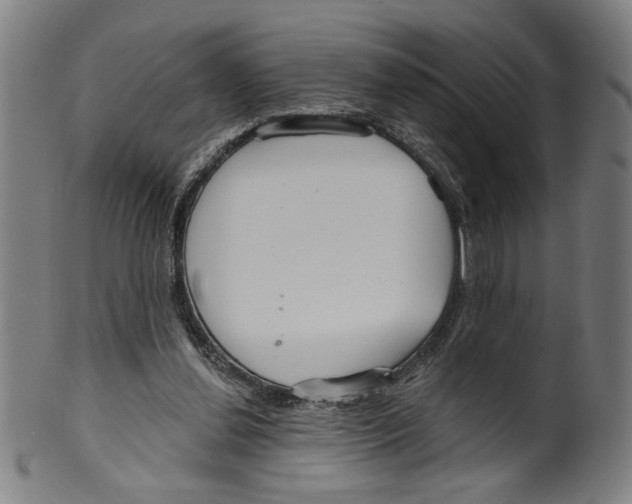 X0000099420252200806061002