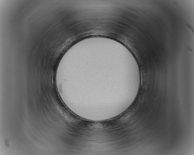 X0000099420253200806061002