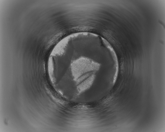 X0000099420254200806061002