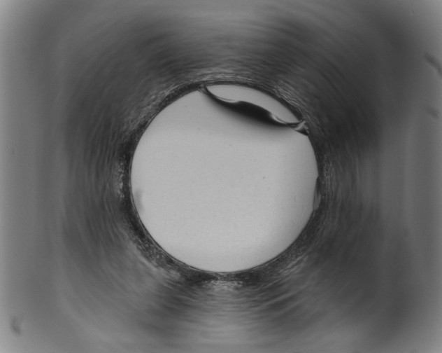 X0000099420255200806061002