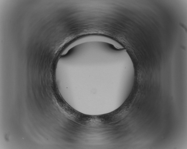 X0000099420256200806061002