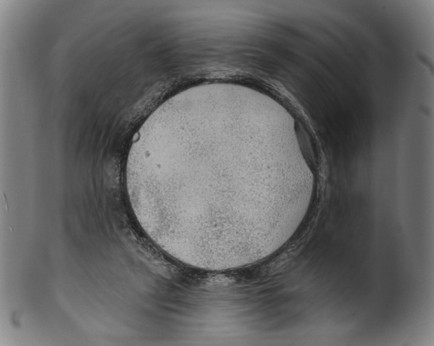 X0000099420257200806061002