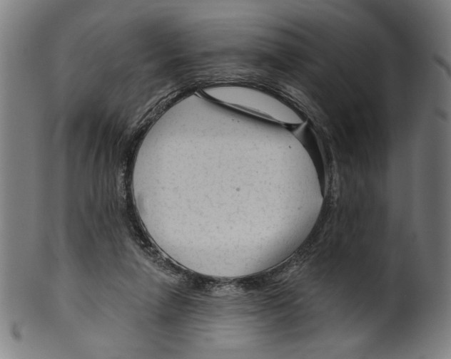 X0000099420258200806061002